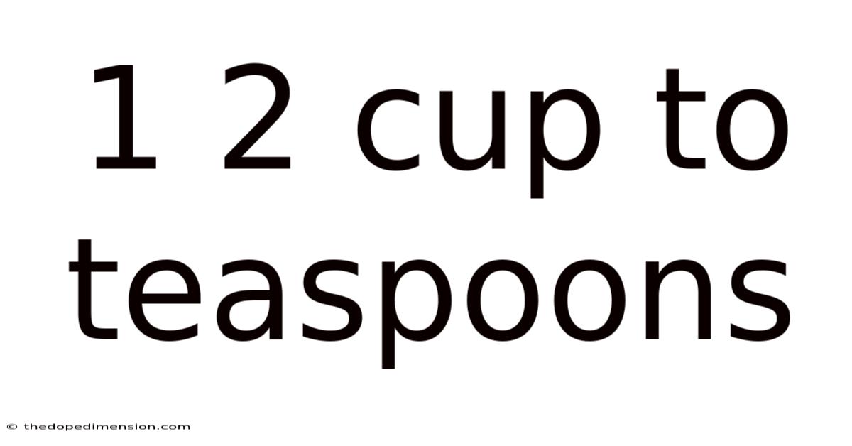 1 2 Cup To Teaspoons