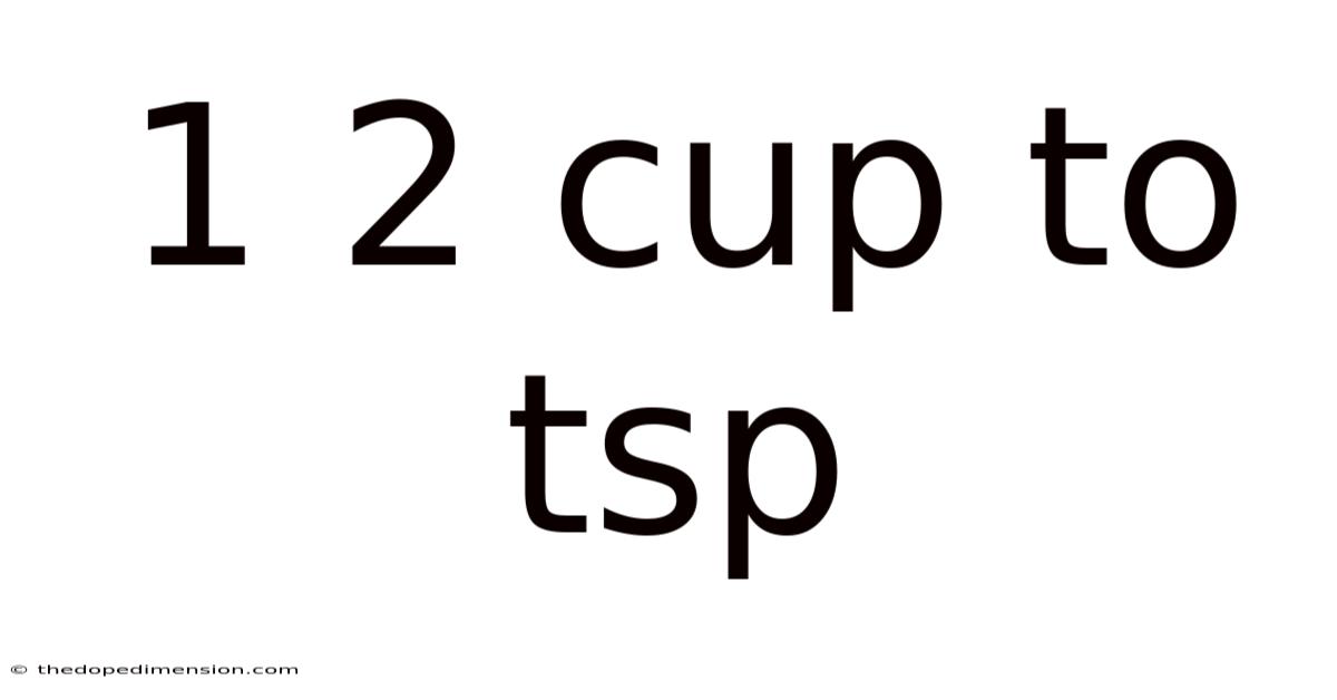 1 2 Cup To Tsp