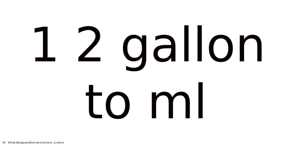 1 2 Gallon To Ml