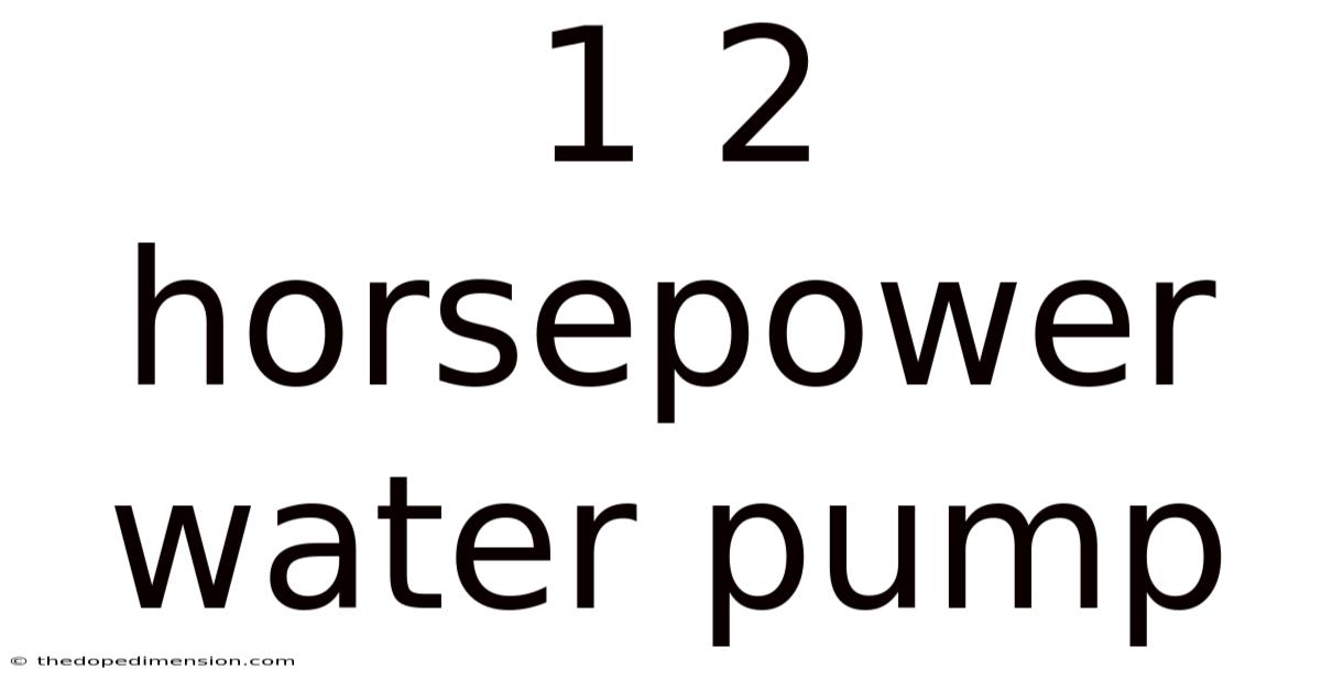 1 2 Horsepower Water Pump
