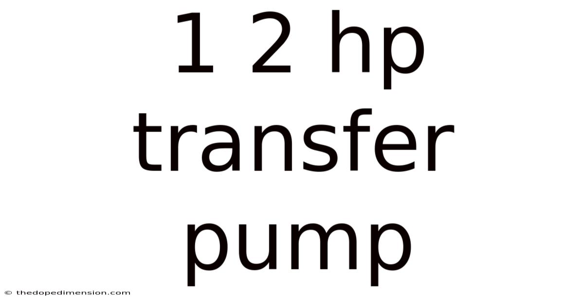 1 2 Hp Transfer Pump