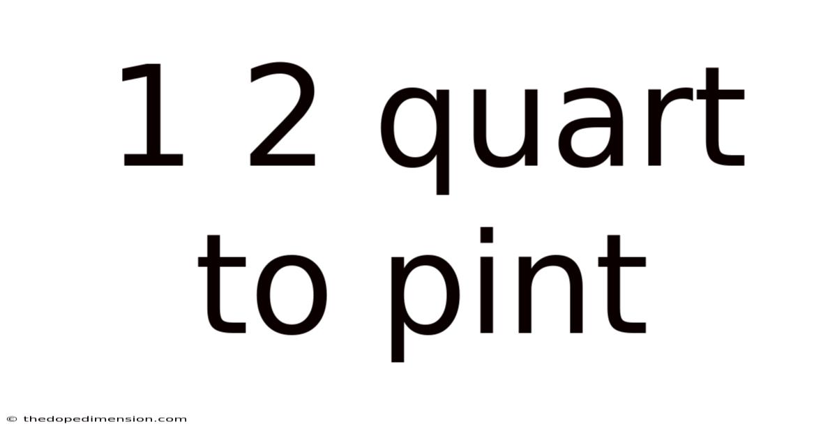 1 2 Quart To Pint