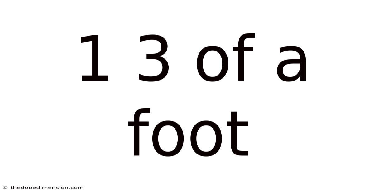 1 3 Of A Foot