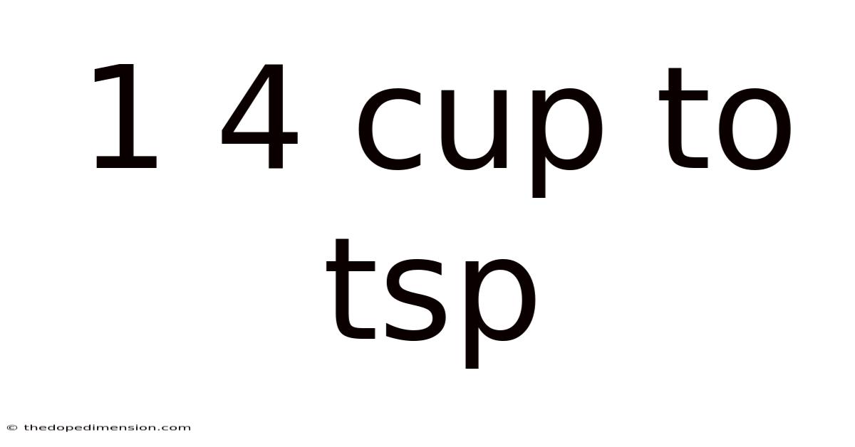 1 4 Cup To Tsp