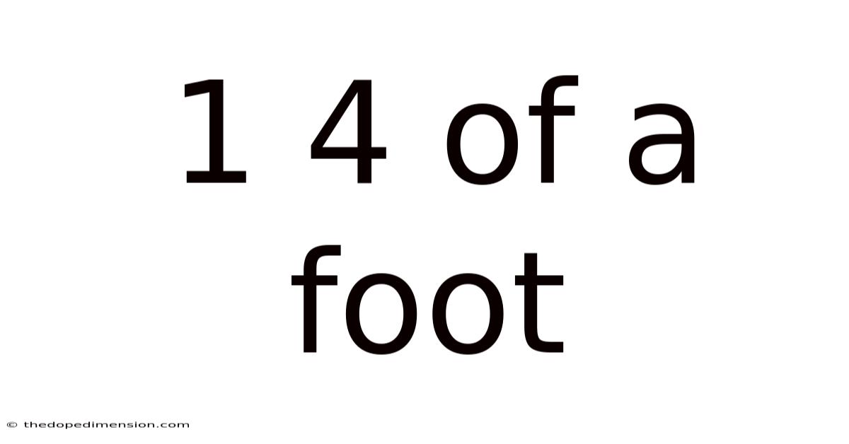 1 4 Of A Foot