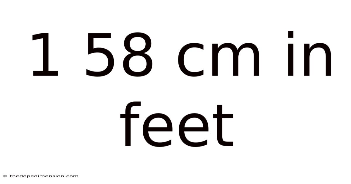 1 58 Cm In Feet