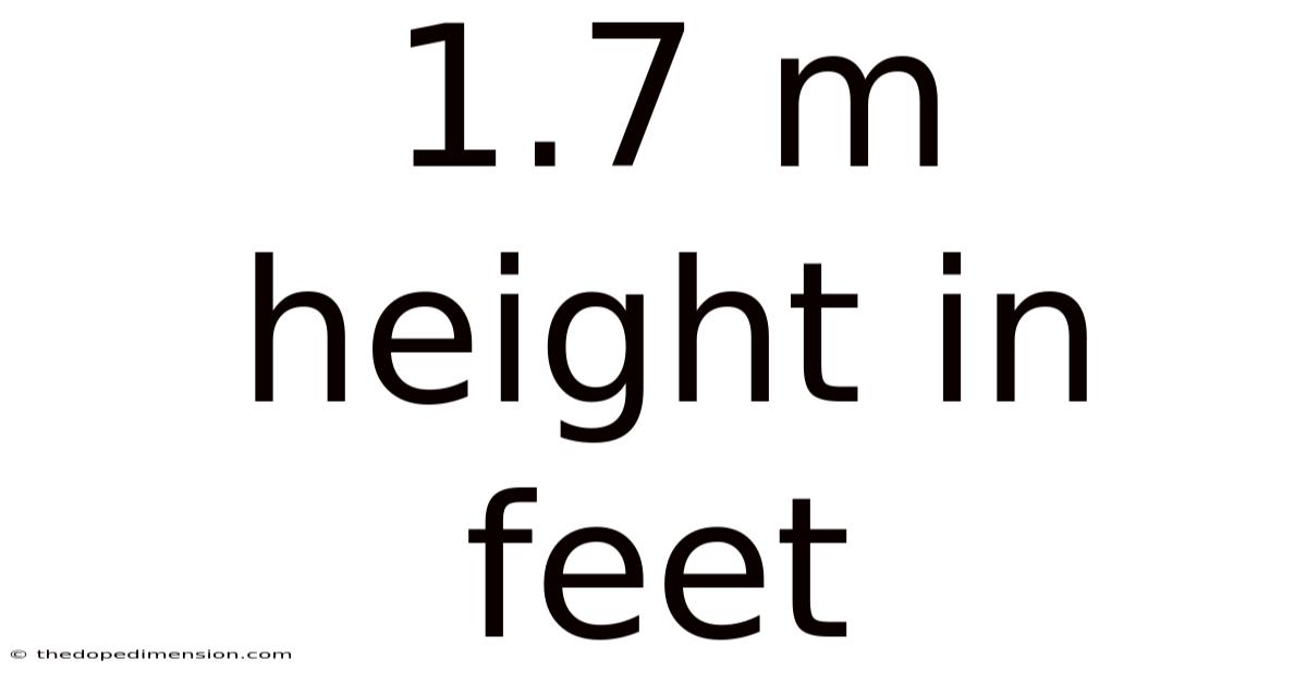 1.7 M Height In Feet