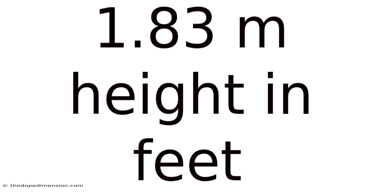 1.83 M Height In Feet