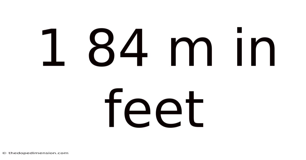 1 84 M In Feet