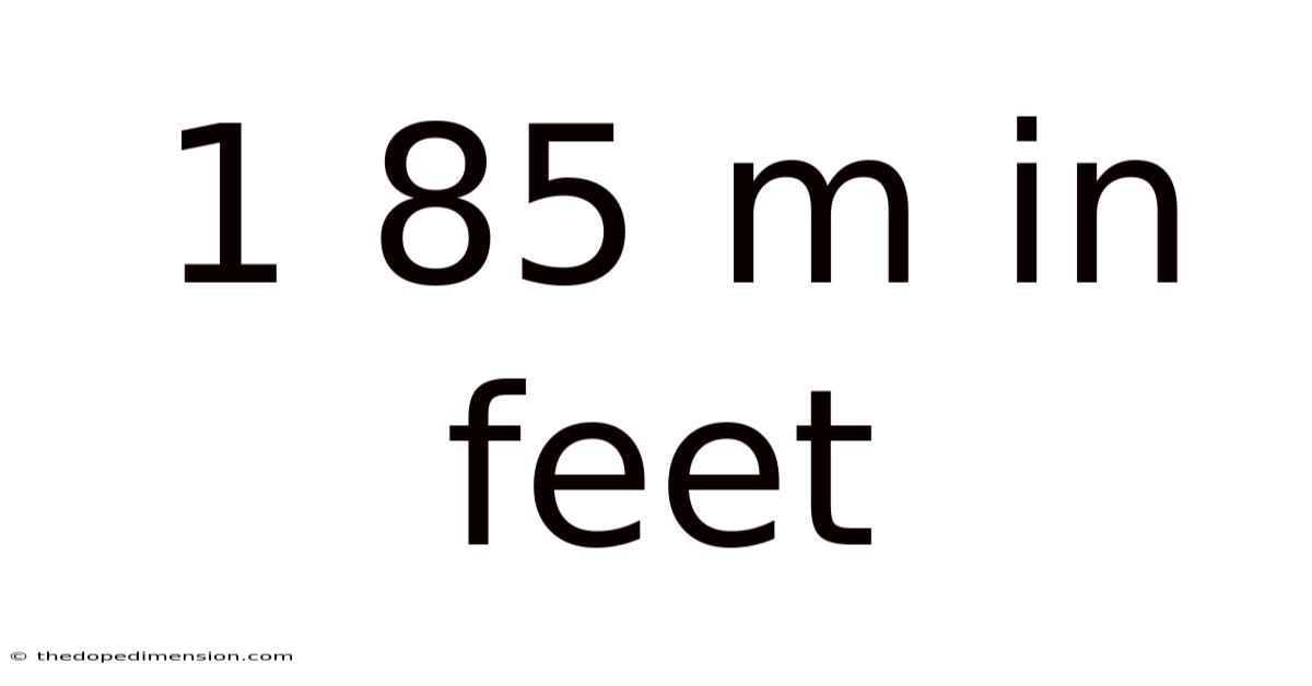 1 85 M In Feet