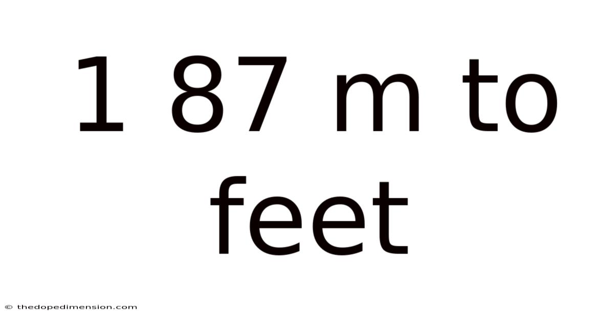 1 87 M To Feet
