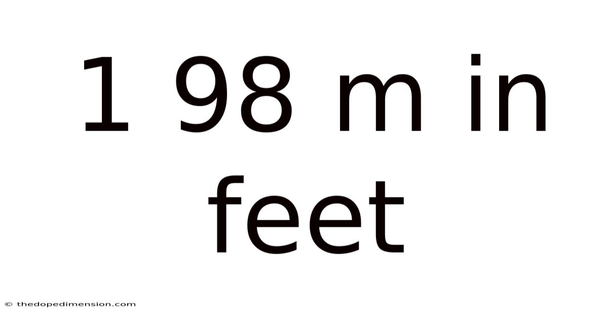 1 98 M In Feet