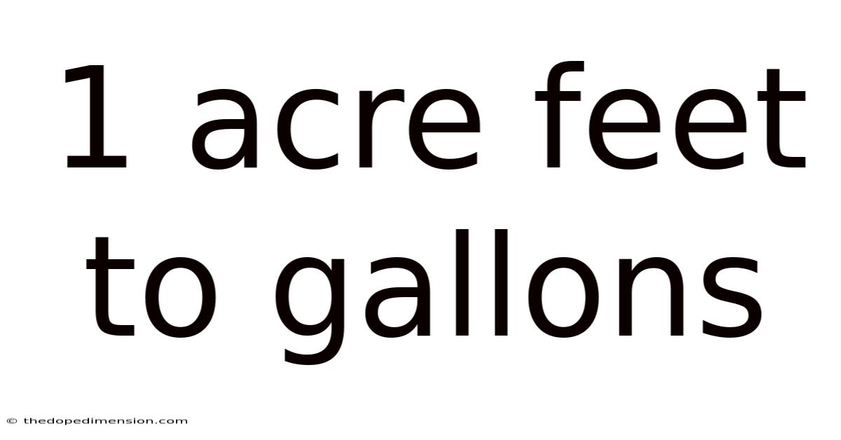 1 Acre Feet To Gallons