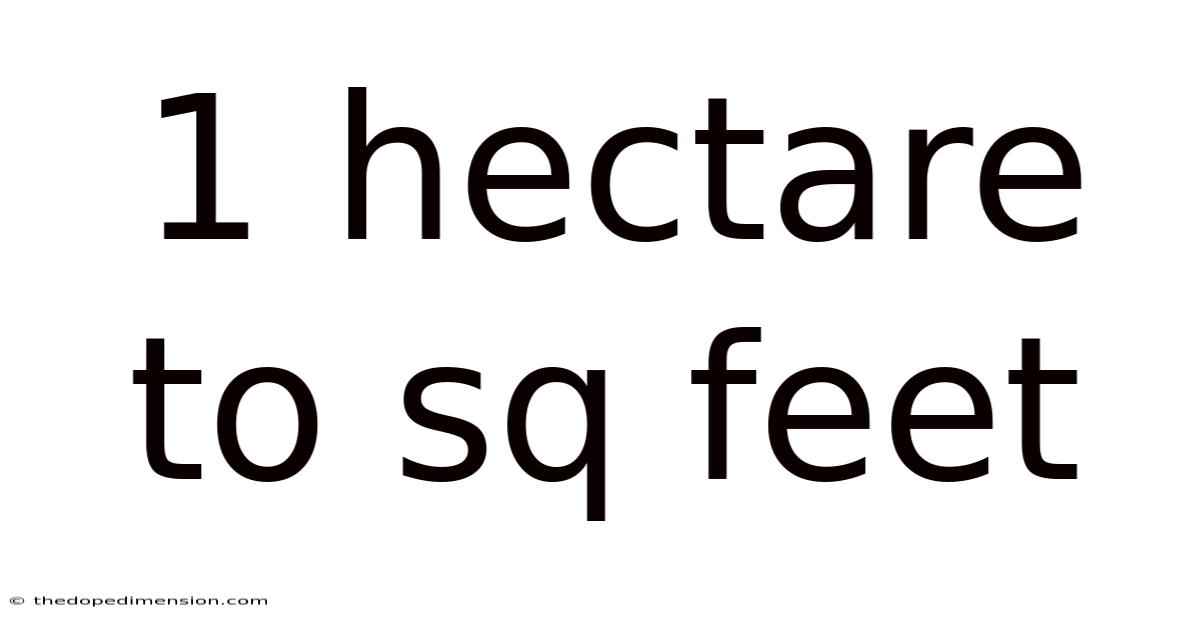 1 Hectare To Sq Feet