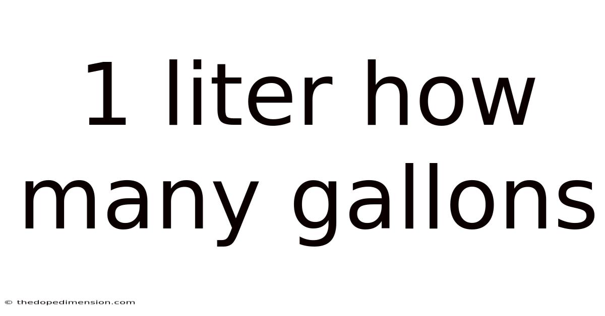 1 Liter How Many Gallons