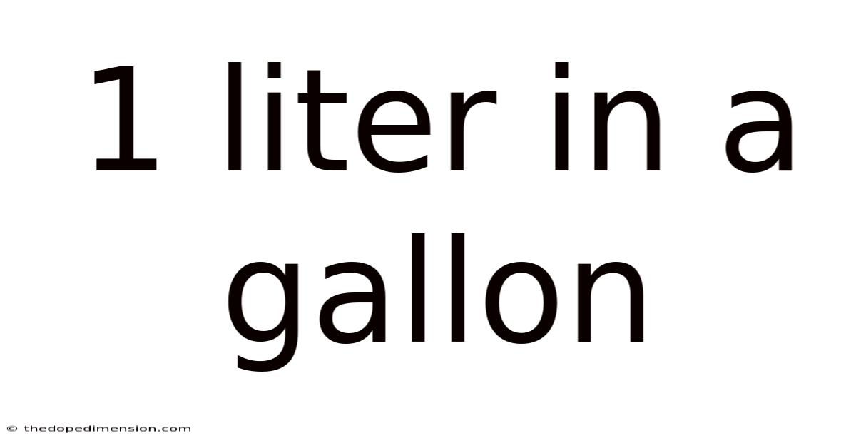 1 Liter In A Gallon