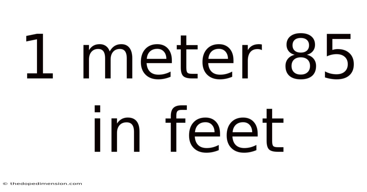1 Meter 85 In Feet