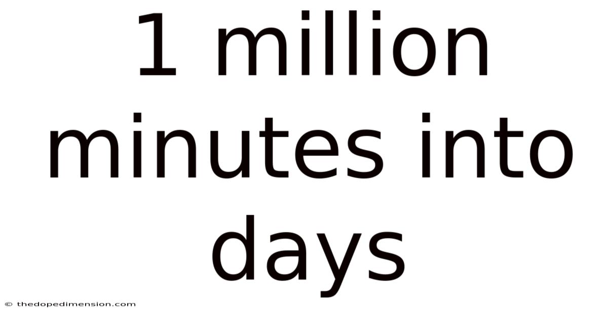 1 Million Minutes Into Days