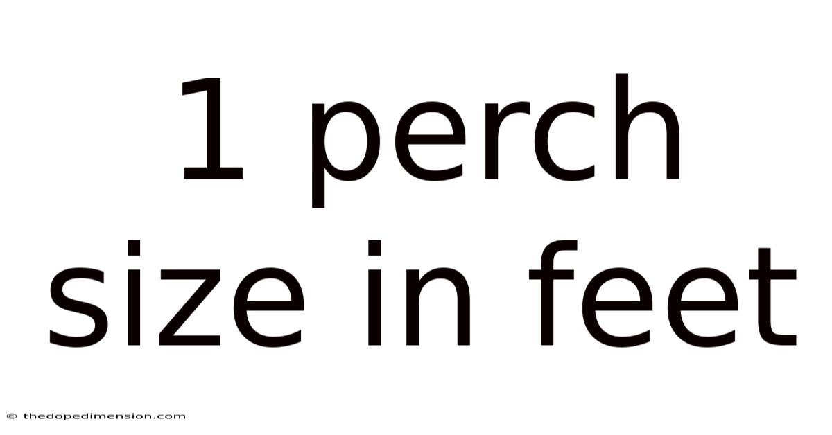 1 Perch Size In Feet
