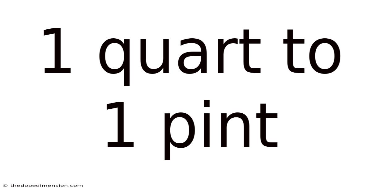 1 Quart To 1 Pint