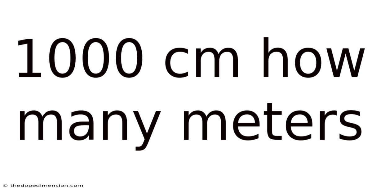 1000 Cm How Many Meters
