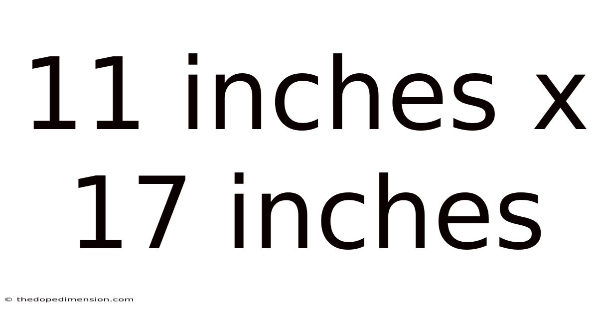 11 Inches X 17 Inches