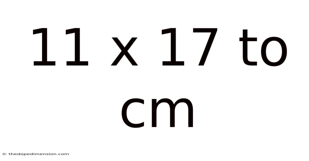11 X 17 To Cm