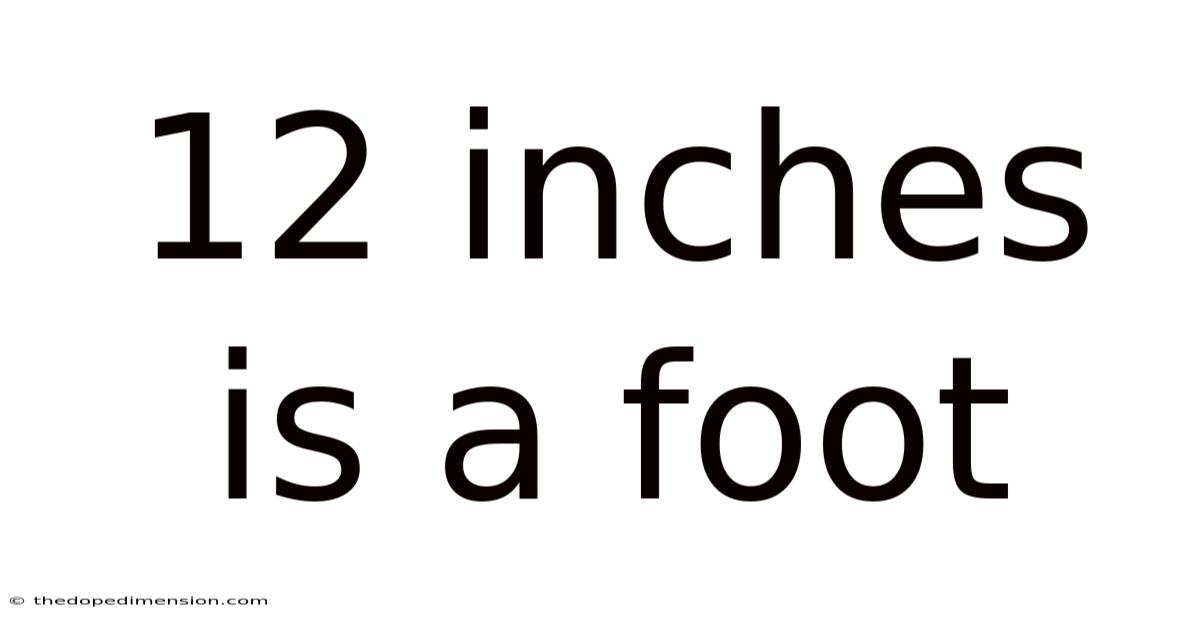 12 Inches Is A Foot