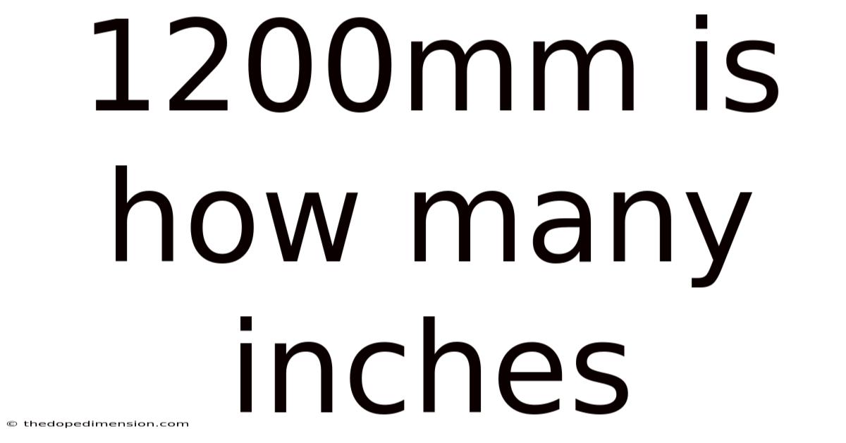 1200mm Is How Many Inches