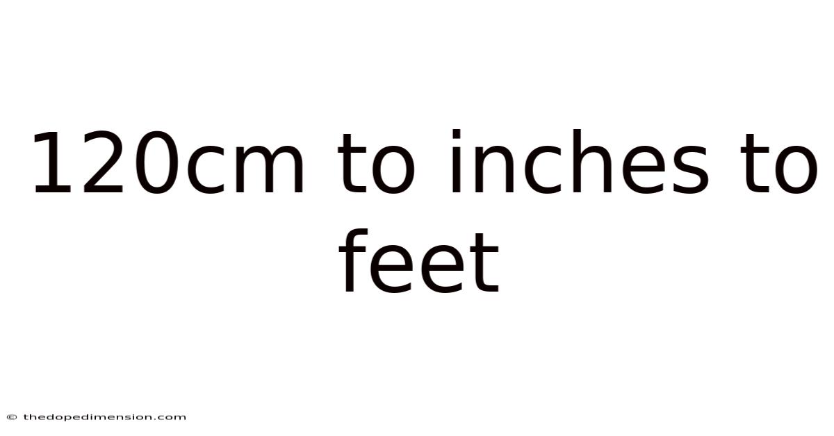 120cm To Inches To Feet