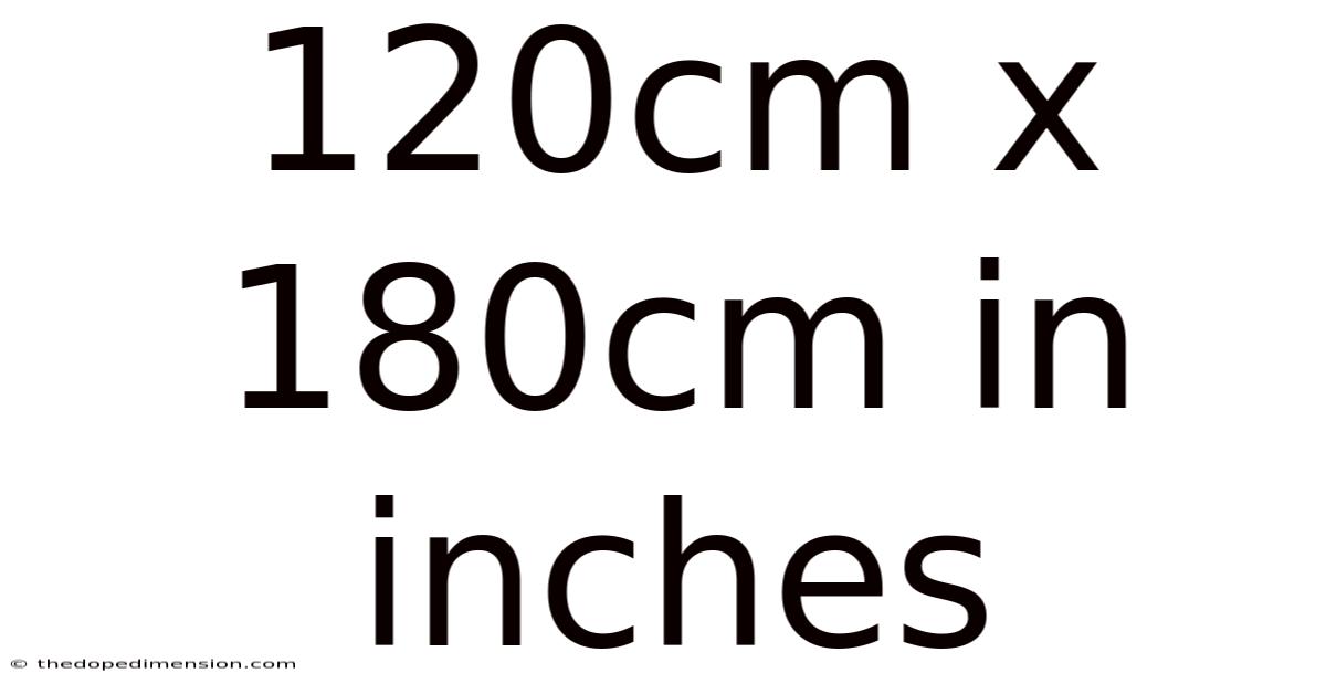 120cm X 180cm In Inches