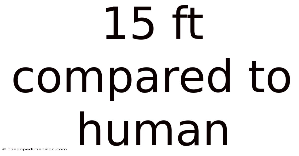 15 Ft Compared To Human