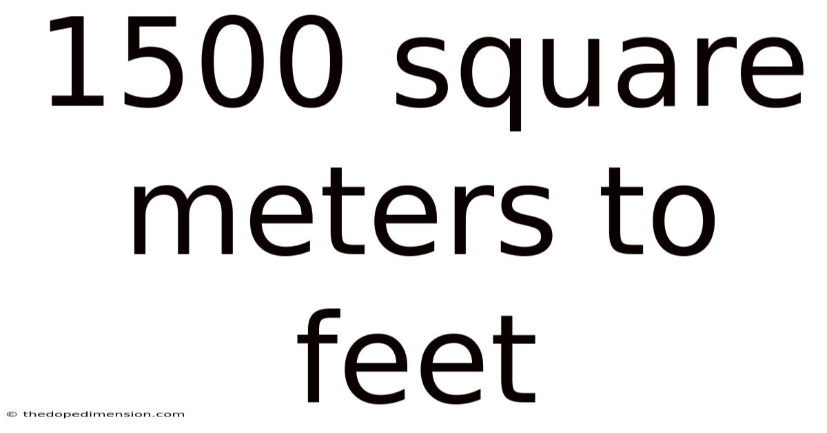 1500 Square Meters To Feet