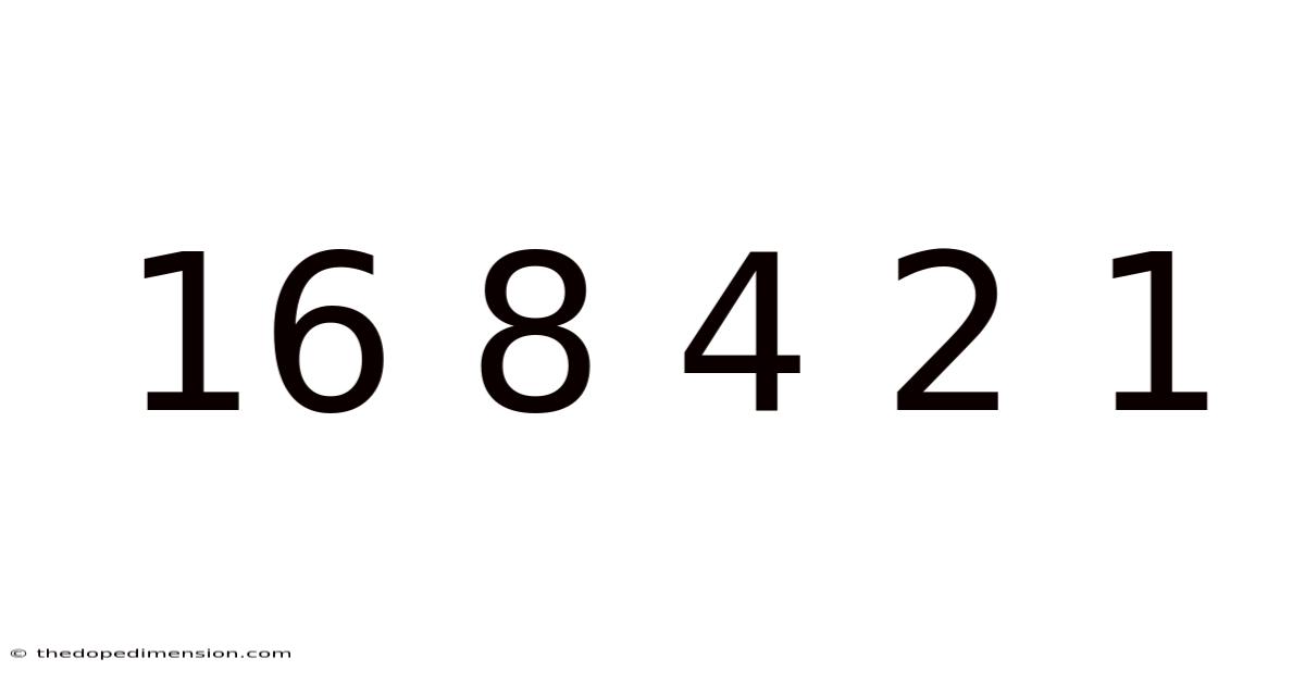16 8 4 2 1