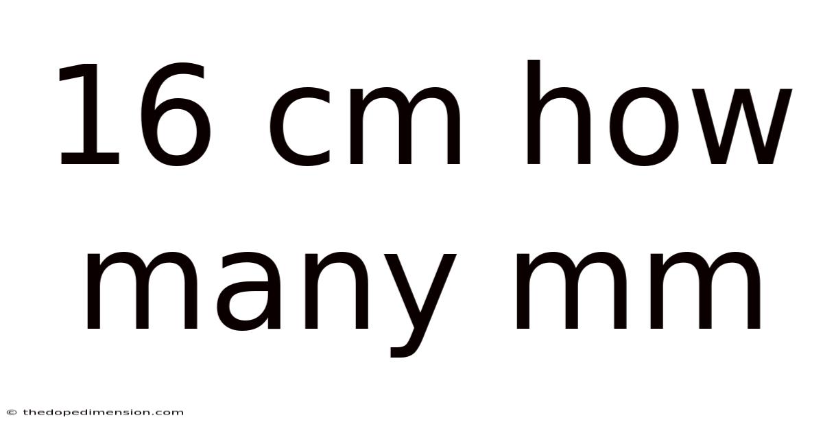 16 Cm How Many Mm