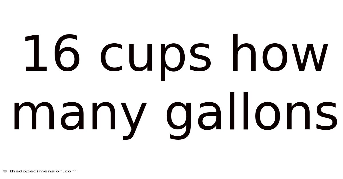 16 Cups How Many Gallons