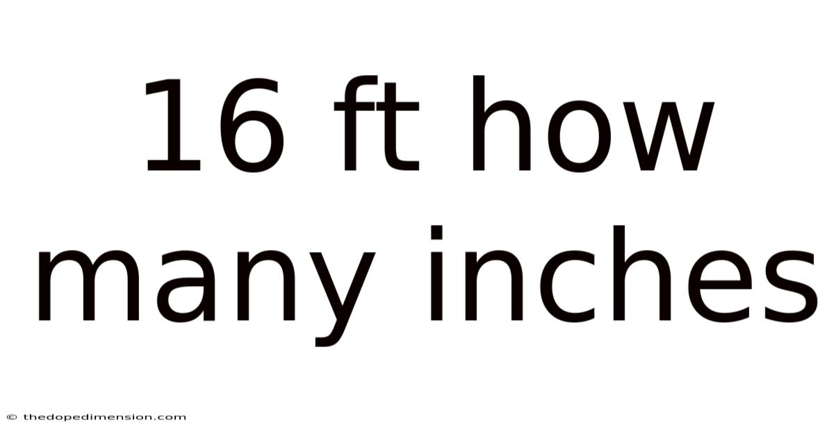 16 Ft How Many Inches