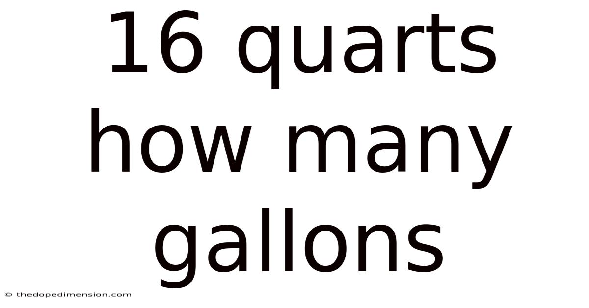 16 Quarts How Many Gallons