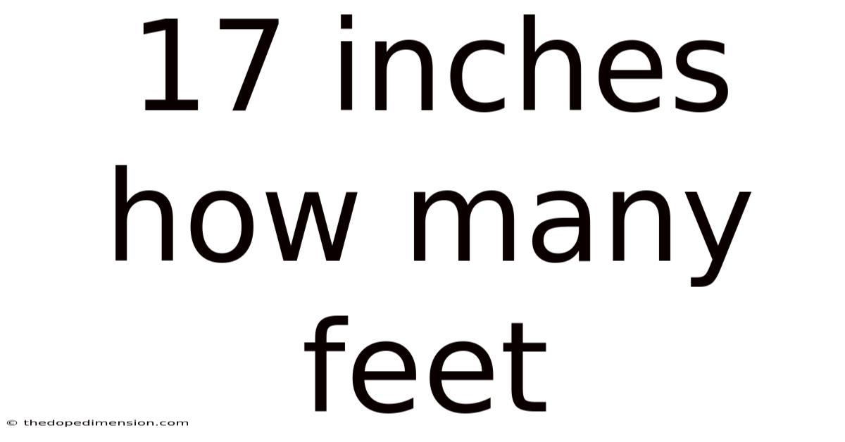 17 Inches How Many Feet