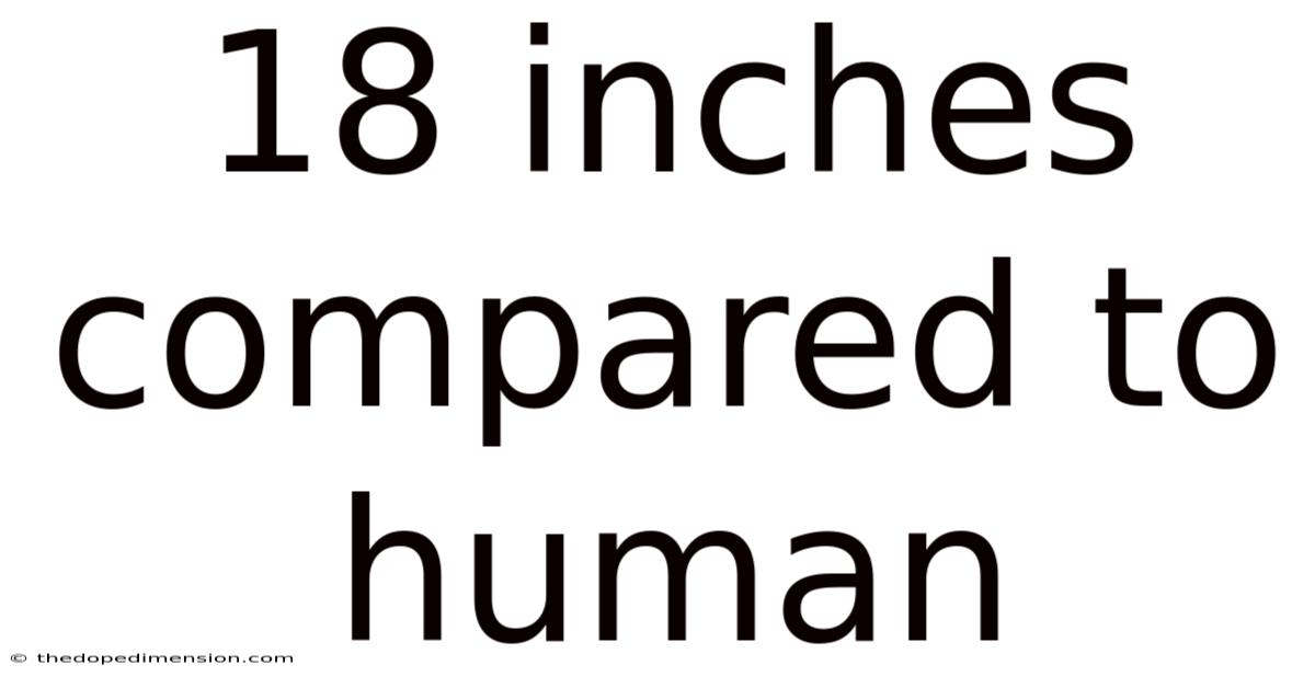 18 Inches Compared To Human