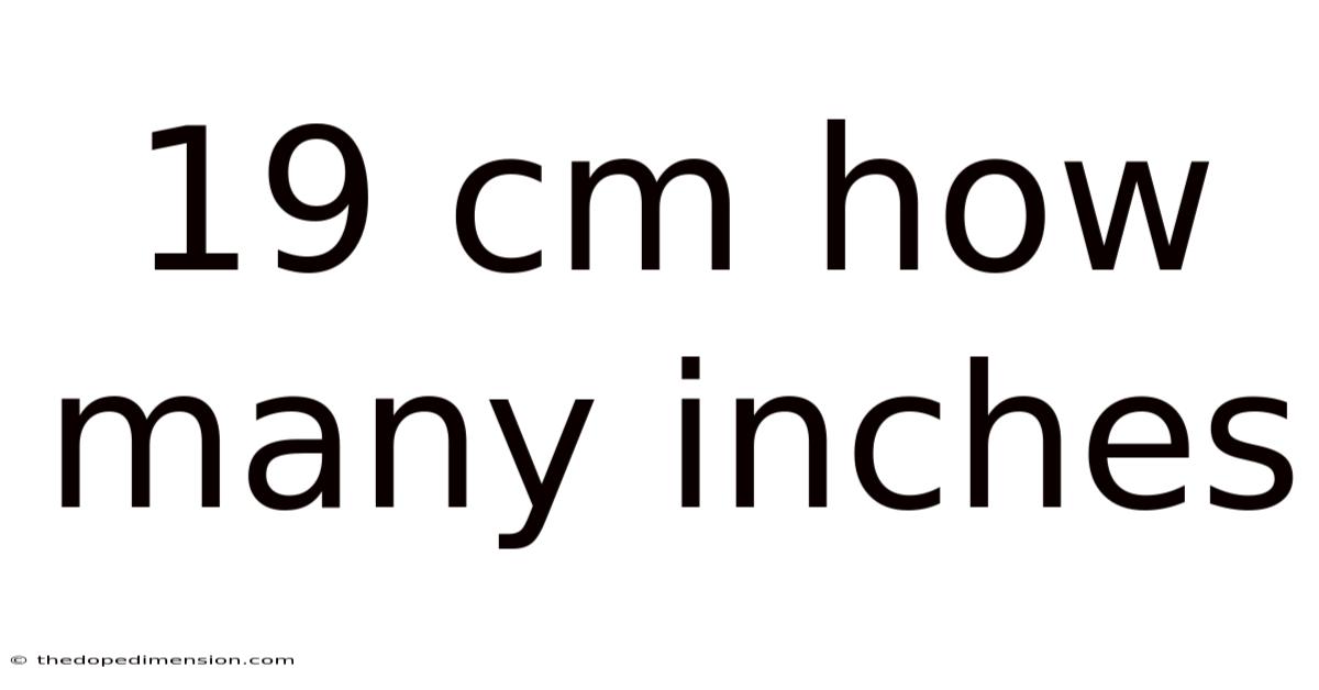 19 Cm How Many Inches