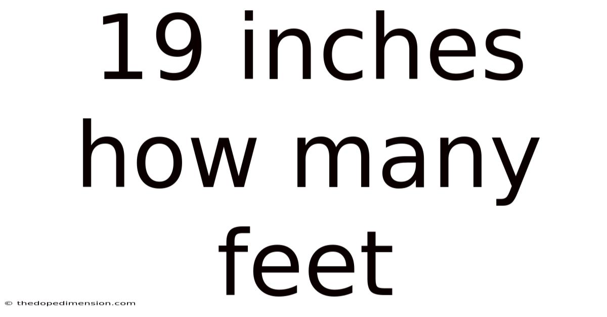 19 Inches How Many Feet