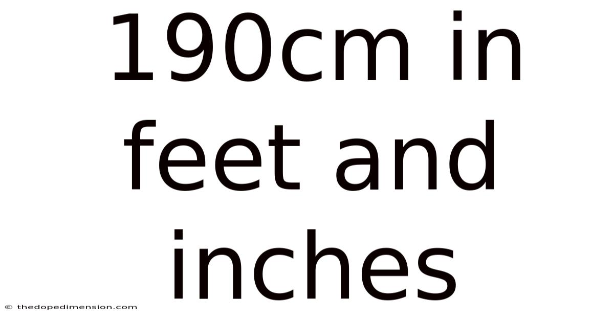 190cm In Feet And Inches