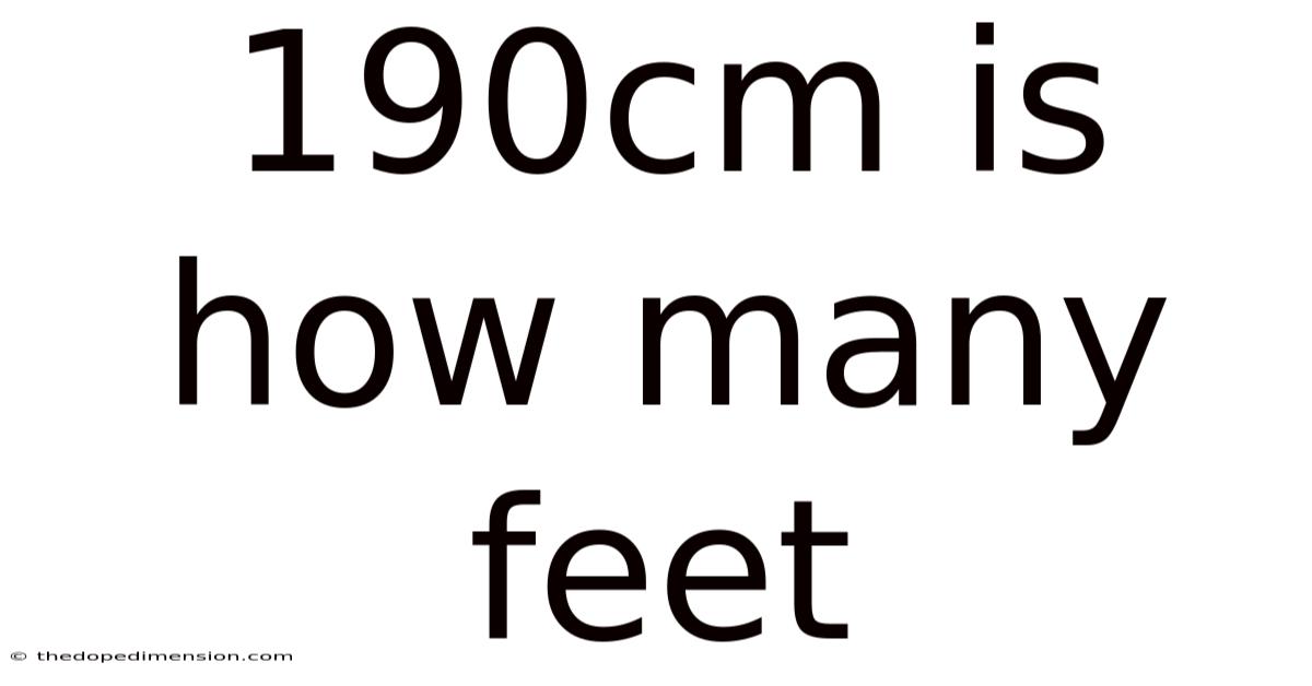 190cm Is How Many Feet