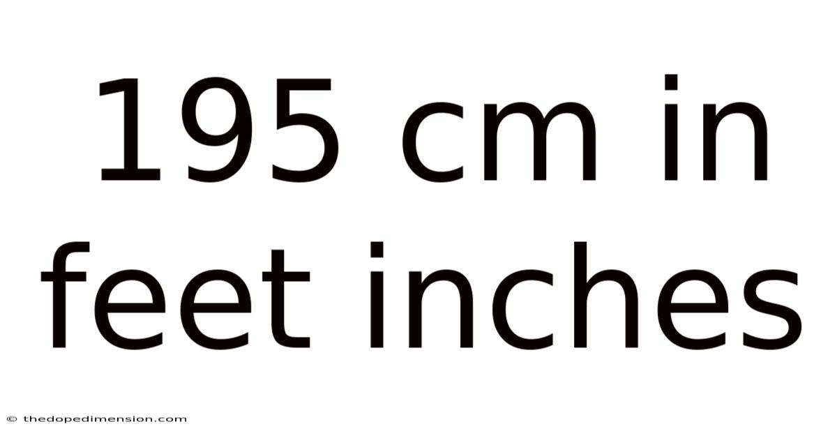 195 Cm In Feet Inches