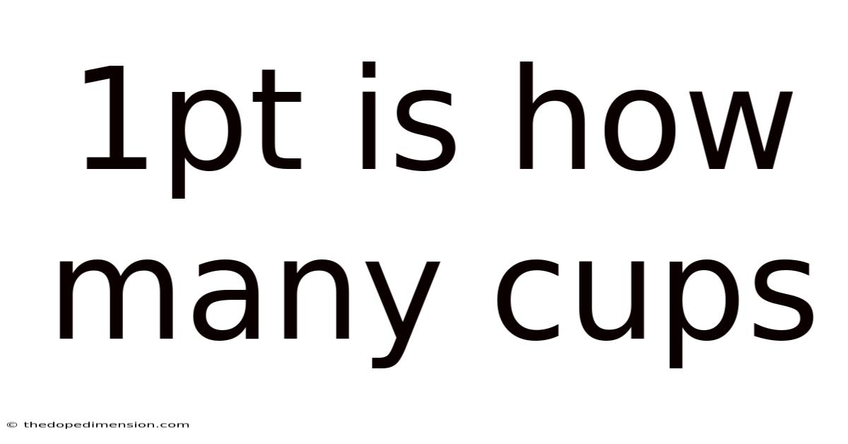1pt Is How Many Cups