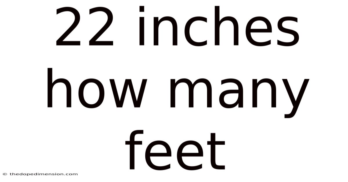 22 Inches How Many Feet