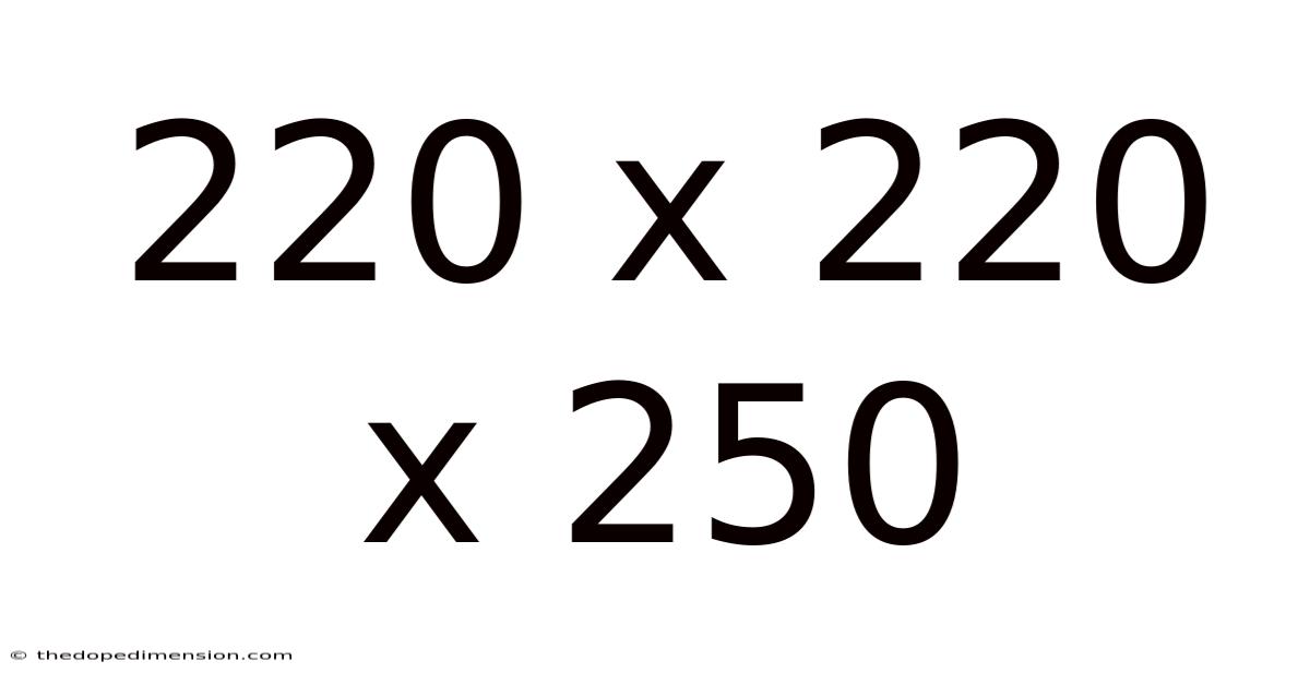 220 X 220 X 250