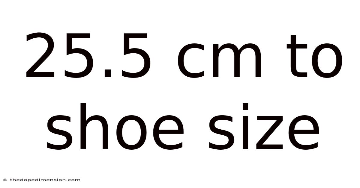 25.5 Cm To Shoe Size
