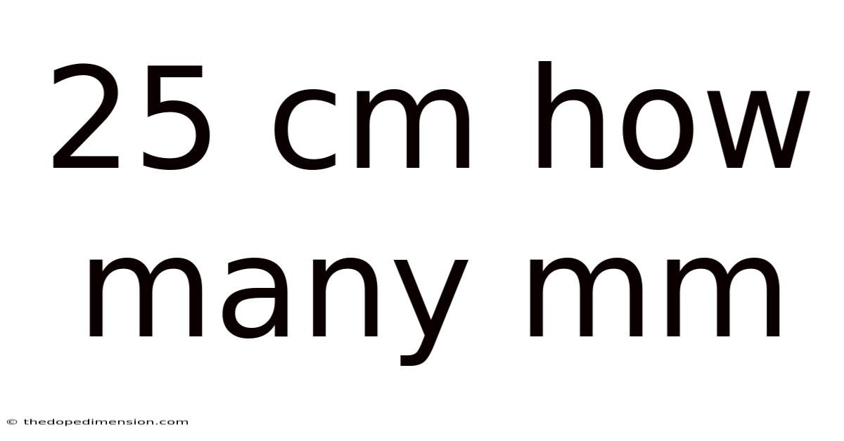 25 Cm How Many Mm